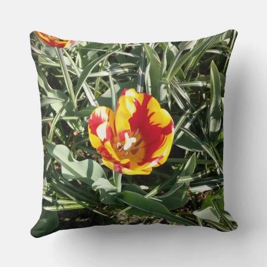 Tulip  kussen (Achterkant)