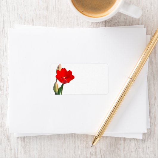 Tulip-label Etiket (Insitu)