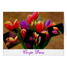 Tulip Love-Carpe Diem Card