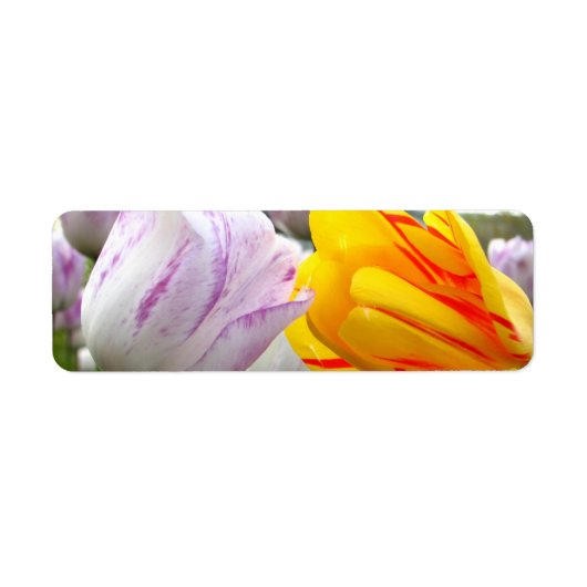 Tulip Love Etiket (Voorkant)