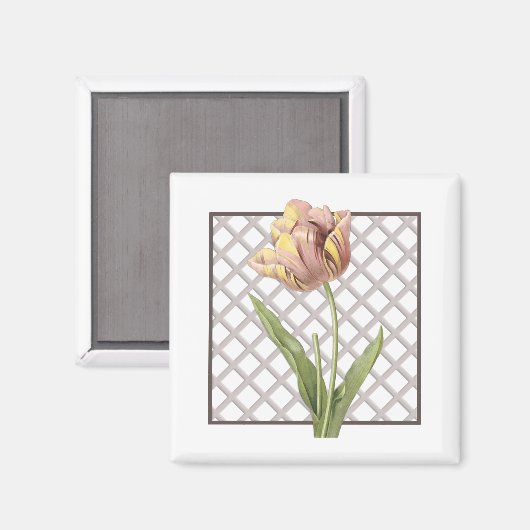TULIP MAGNEET (Voorkant / Achterkant)