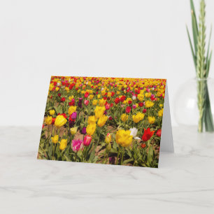 Tulip mania blank wenskaart kaart