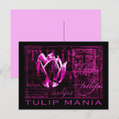 Tulip Mania Briefkaart (Voorkant / Achterkant)
