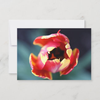 Tulip Notecard Notitiekaartje