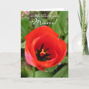 Tulip of Love Kaart