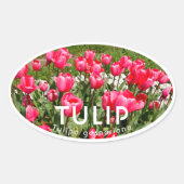 Tulip Ovale Sticker (Voorkant)