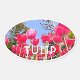 Tulip Ovale Sticker