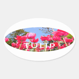 Tulip Ovale Sticker