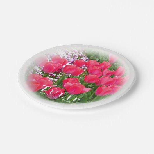 Tulip Papieren Bordje (Gekanteld)
