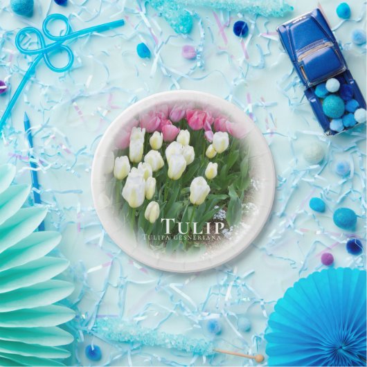 Tulip Papieren Bordje (Feest)