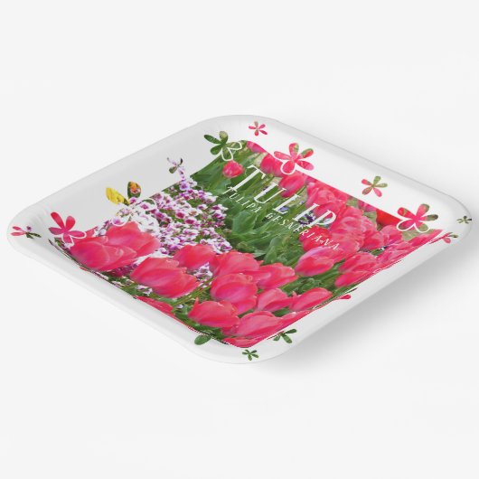 Tulip Papieren Bordje (Gebogen)