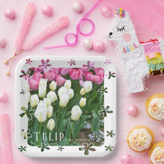 Tulip Papieren Bordje (Feest)