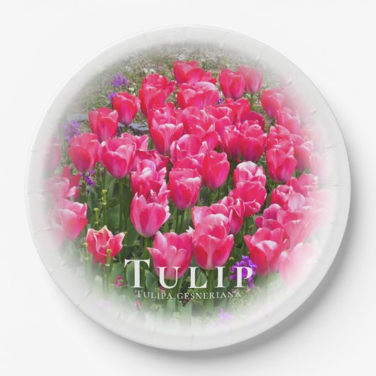 Tulip Papieren Bordje (Voorkant)