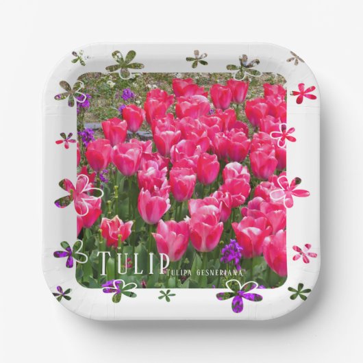 Tulip Papieren Bordje (Voorkant)