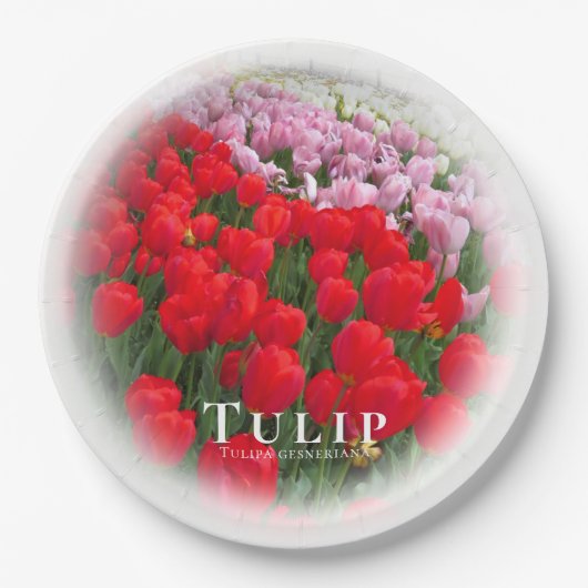 Tulip Papieren Bordje (Voorkant)