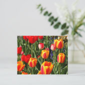 Tulip Patch Briefkaart (Staand voorkant)