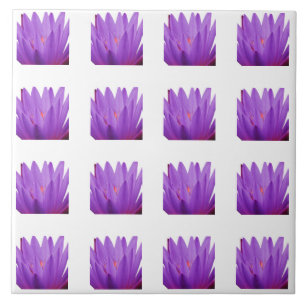 Tulip Patroon Tegeltje