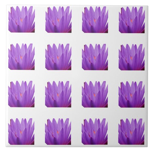 Tulip Patroon Tegeltje (Voorkant)