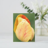 Tulip Petals Flower Photography Personalized Briefkaart (Staand voorkant)