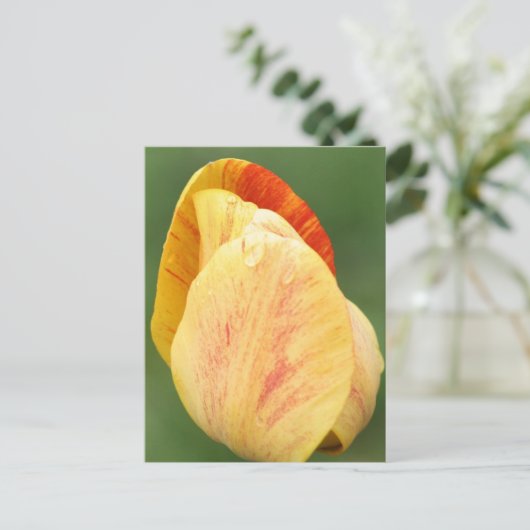 Tulip Petals Flower Photography Personalized Briefkaart (Staand voorkant)