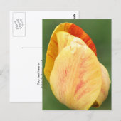 Tulip Petals Flower Photography Personalized Briefkaart (Voorkant / Achterkant)