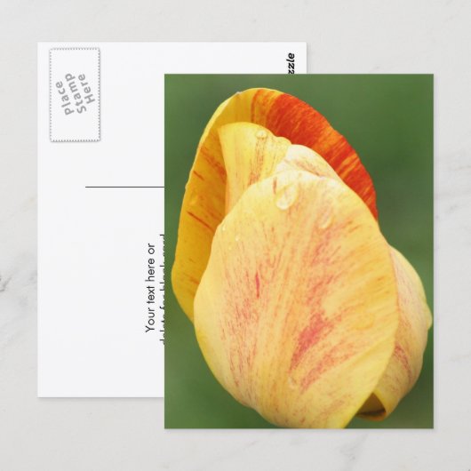 Tulip Petals Flower Photography Personalized Briefkaart (Voorkant / Achterkant)