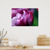 Tulip Petals Poster (Keuken)