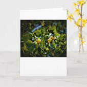 Tulip Poplar Blossom, kaart (Gele Bloem)