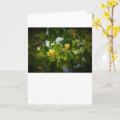 Tulip Poplar Blossom, kaart (Gele Bloem)