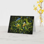 Tulip Poplar Blossom, kaart (Gele Bloem)