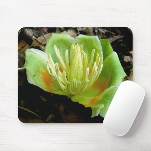 Tulip Poplar Flower Mousepad Muismat (Met muis)
