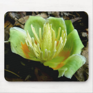 Tulip Poplar Flower Mousepad Muismat
