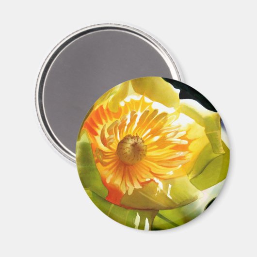 "Tulip Poplar" Gele Bloem Waterverf Magneet (Voorkant / Achterkant)
