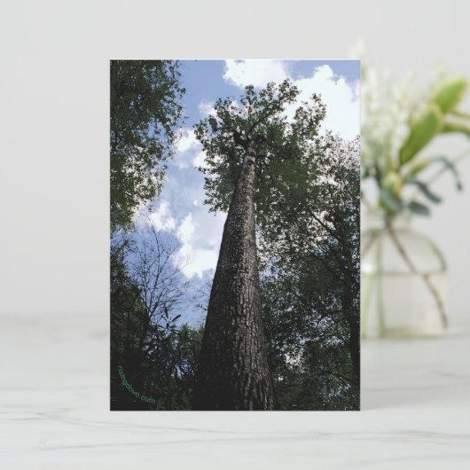 Tulip Poplar/Joyce Kilmer gedicht Trees Card Save The Date (Staand voorkant)