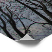 Tulip Poplar Trees Cloudy Blue Sky Poster (Hoek)