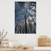 Tulip Poplar Trees Cloudy Blue Sky Poster (Keuken)