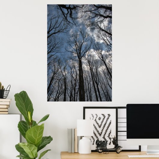Tulip Poplar Trees Cloudy Blue Sky Poster (Thuiskantoor)