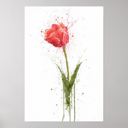  Tulip Poster (Voorkant)