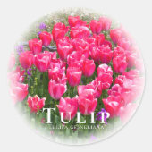 Tulip Ronde Sticker (Voorkant)