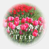 Tulip Ronde Sticker (Voorkant)