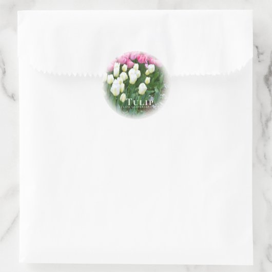 Tulip Ronde Sticker (Tas)
