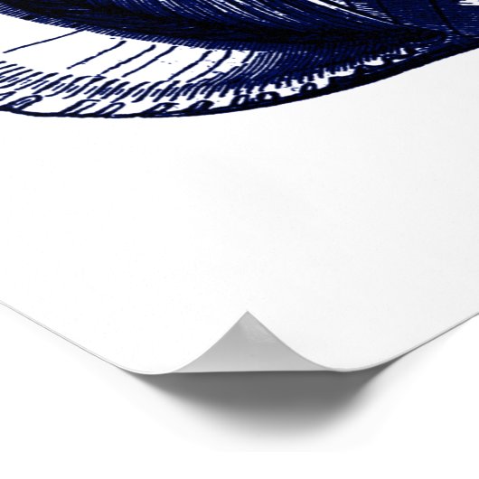 Tulip Seashell in blauw Poster (Hoek)