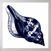 Tulip Seashell in blauw Poster (Voorkant)