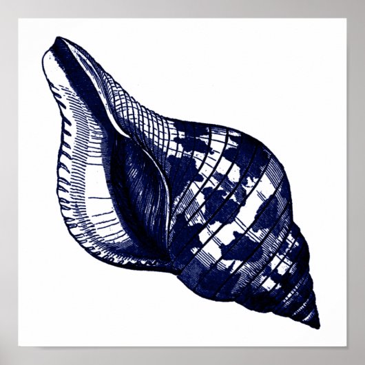 Tulip Seashell in blauw Poster (Voorkant)