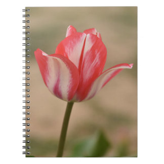 Tulip Spiral Notitieboek/Journal Notitieboek