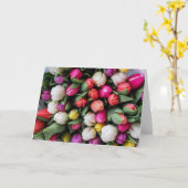 Tulip Spring Greeting Kaart (Gele Bloem)