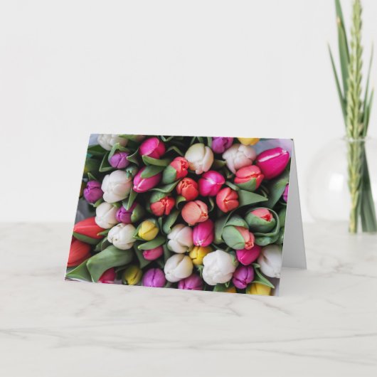 Tulip Spring Greeting Kaart (Voorkant)