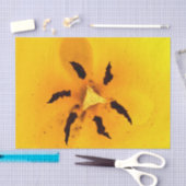 Tulip stamen and pollen tissuepapier (Craft)