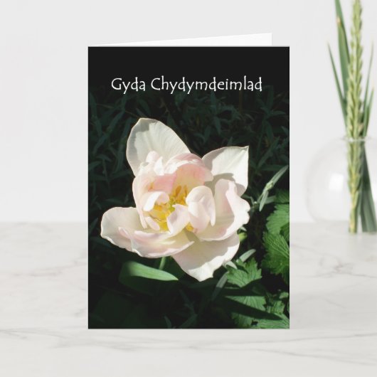 'Tulip' Sympathy Card - Welsh Groet Kaart (Voorkant)