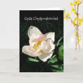 'Tulip' Sympathy Card - Welsh Groet Kaart (Gele Bloem)
